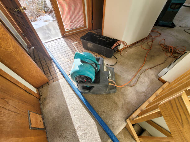 Best Flooded house restoration  in Philadelphia, MS