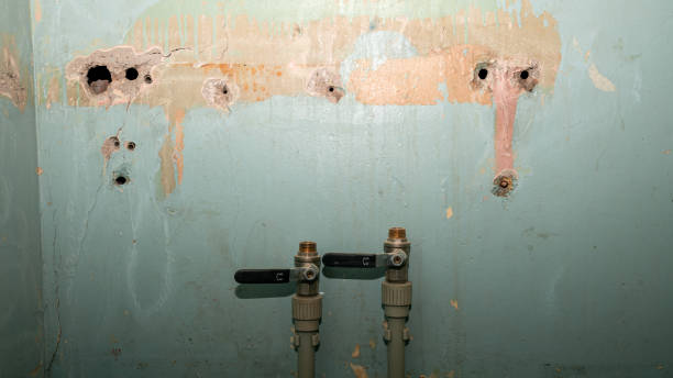 Best Carpet water damage restoration  in Philadelphia, MS